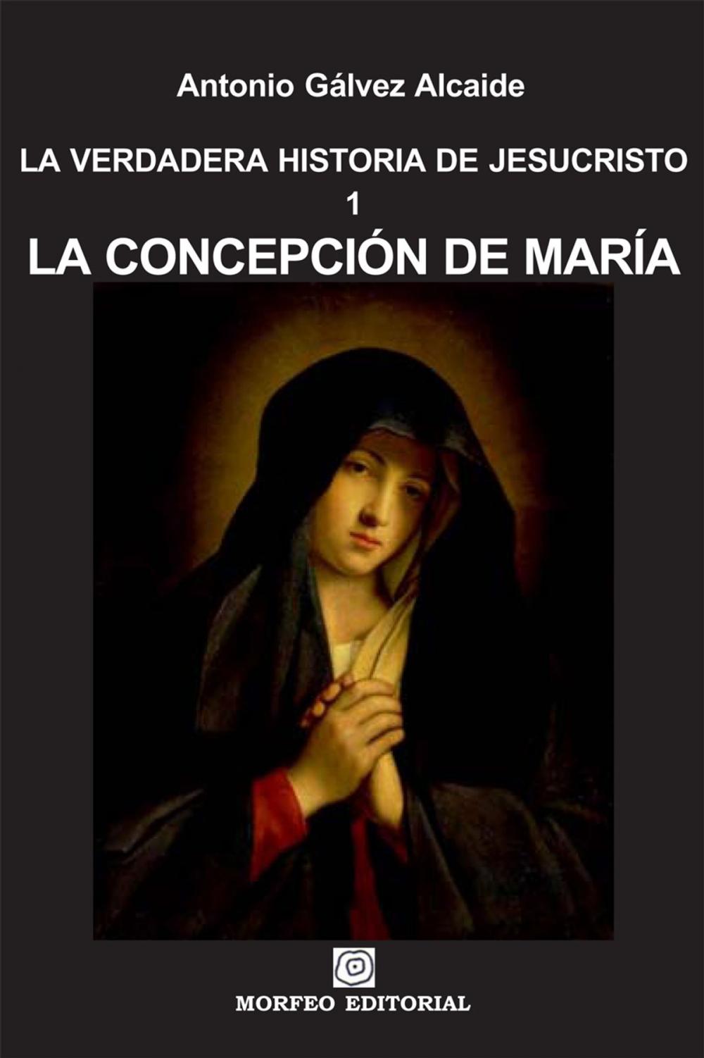 Big bigCover of La concepción de María