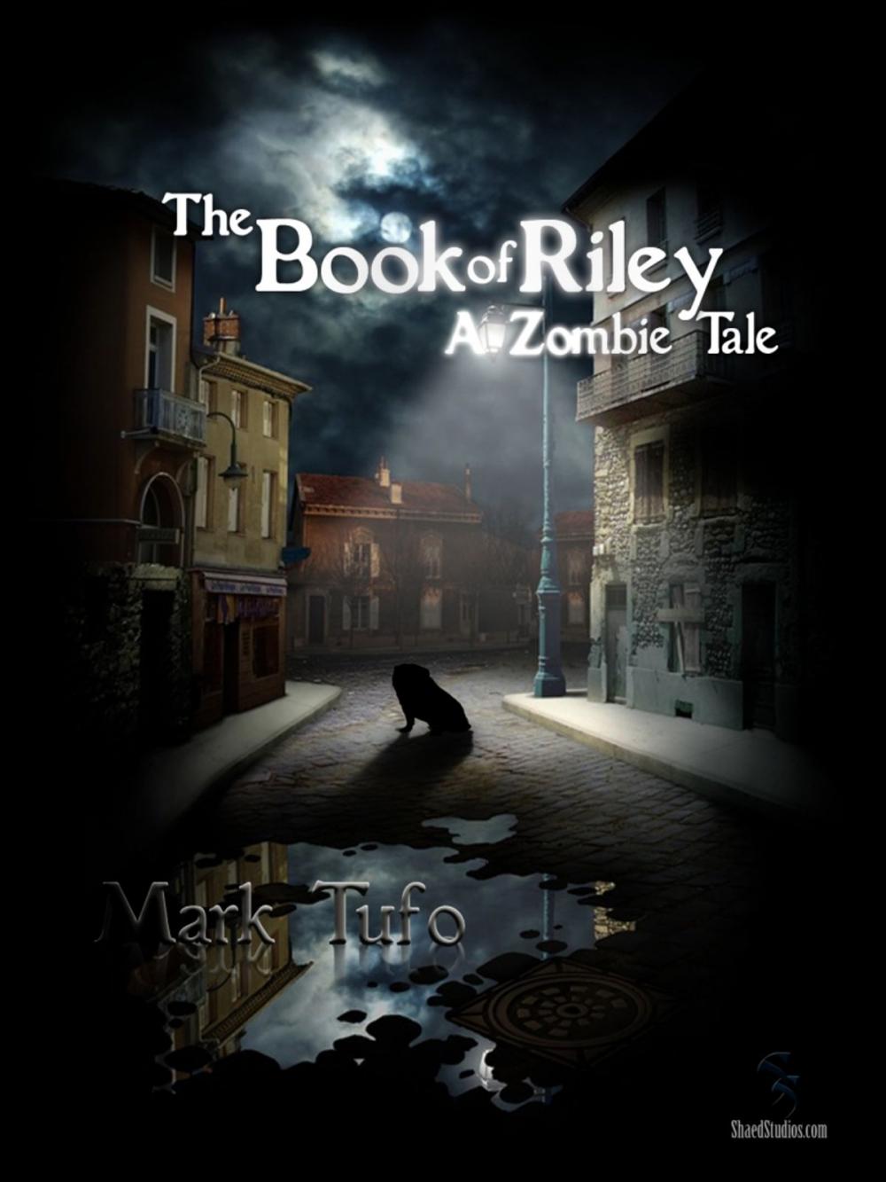 Big bigCover of The Book Of Riley ~ A Zombie Tale