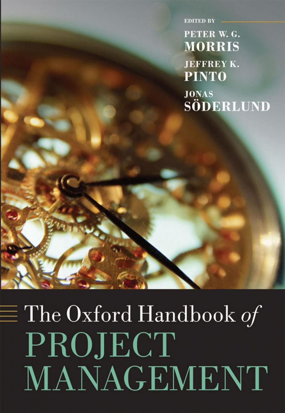 Big bigCover of The Oxford Handbook of Project Management