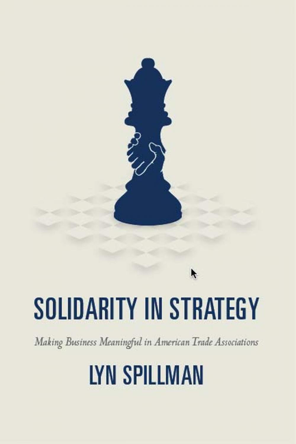Big bigCover of Solidarity in Strategy
