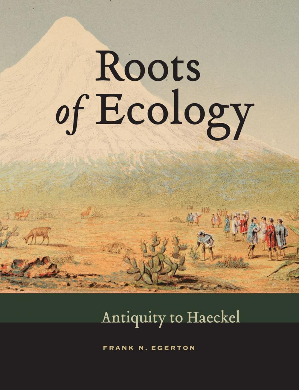 Big bigCover of Roots of Ecology