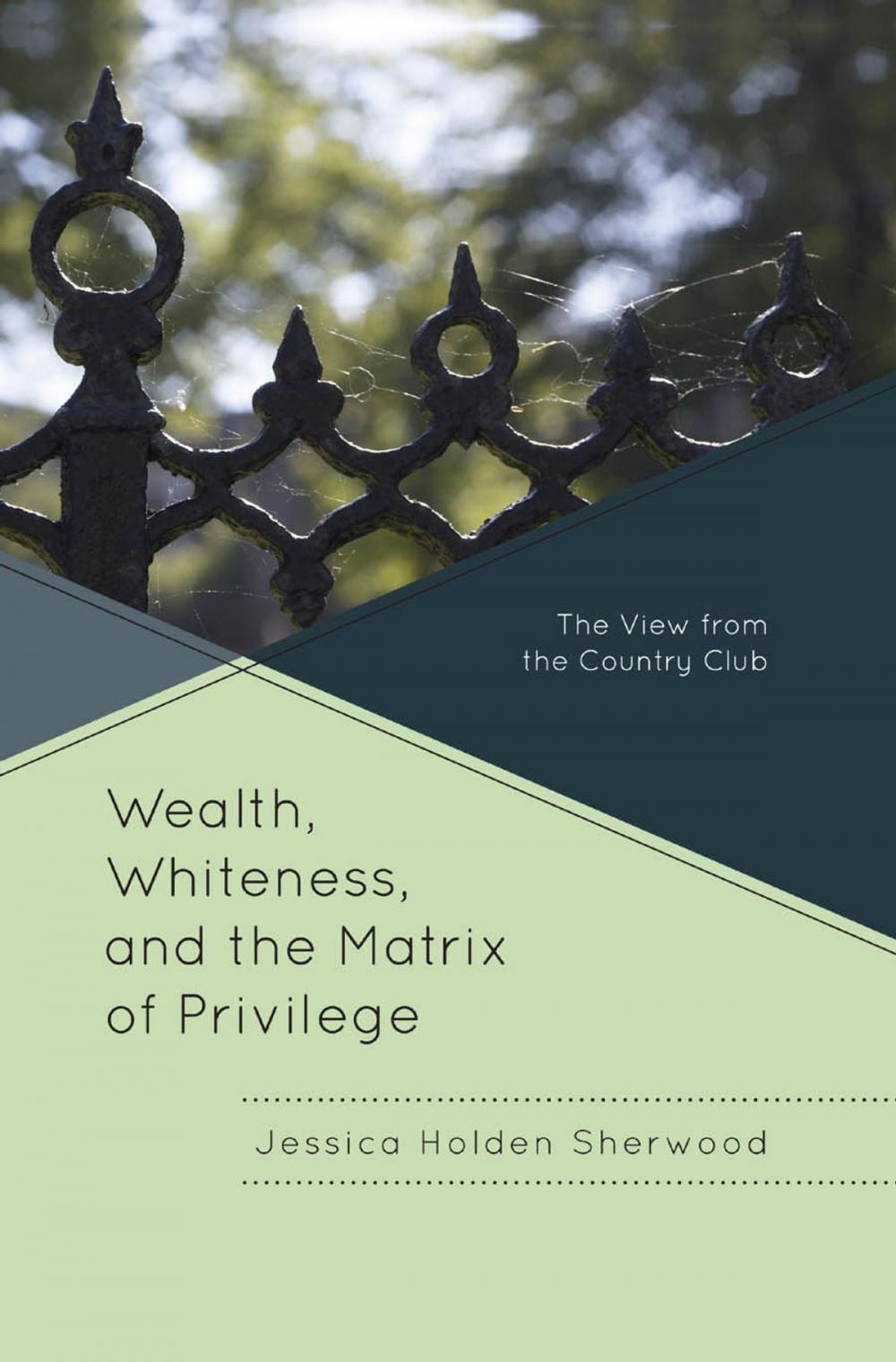 Big bigCover of Wealth, Whiteness, and the Matrix of Privilege