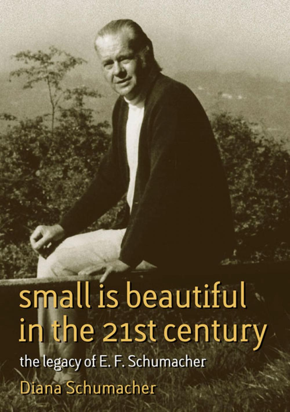 Big bigCover of Small Is Beautiful in the 21st Century