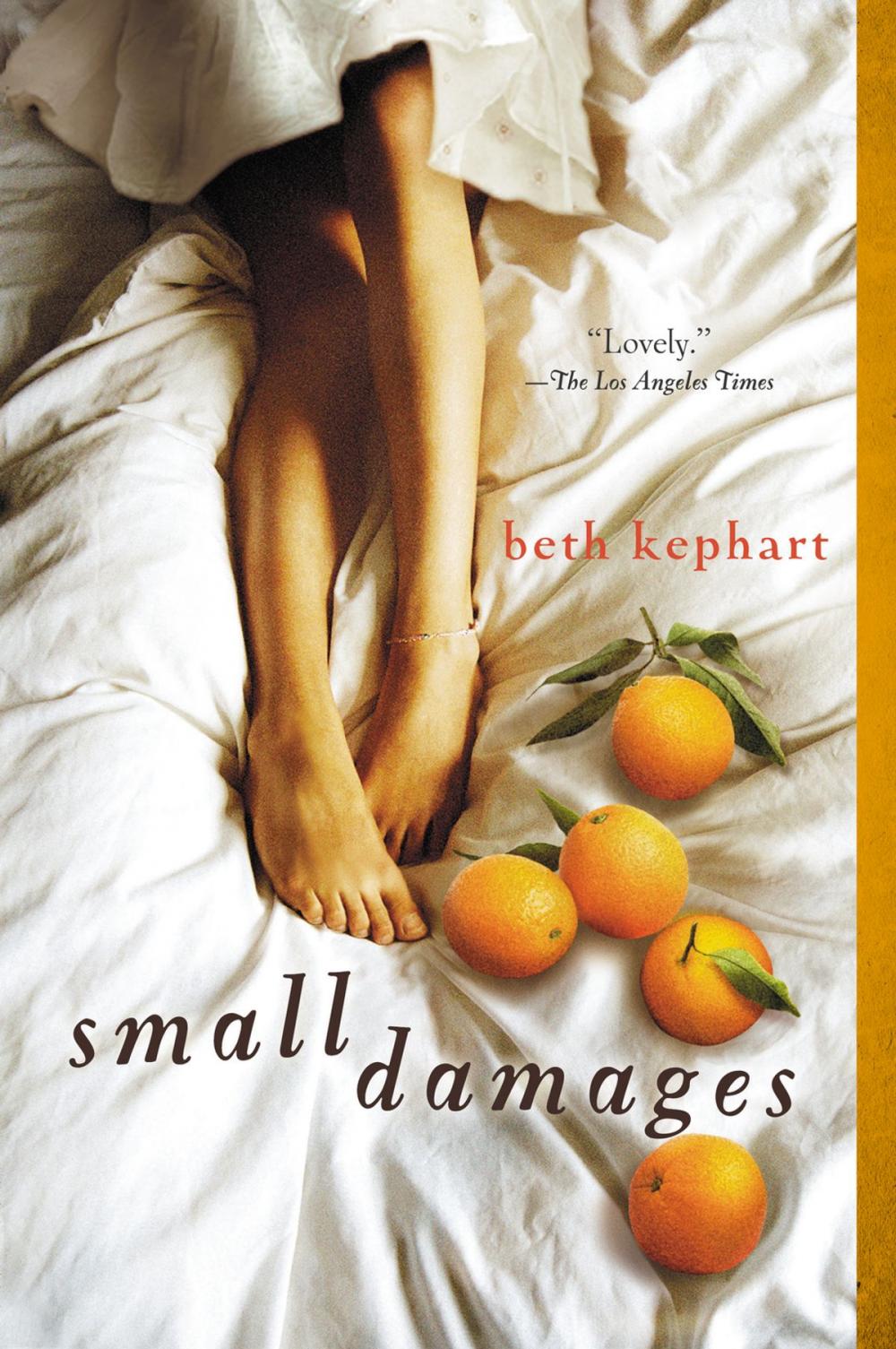 Big bigCover of Small Damages