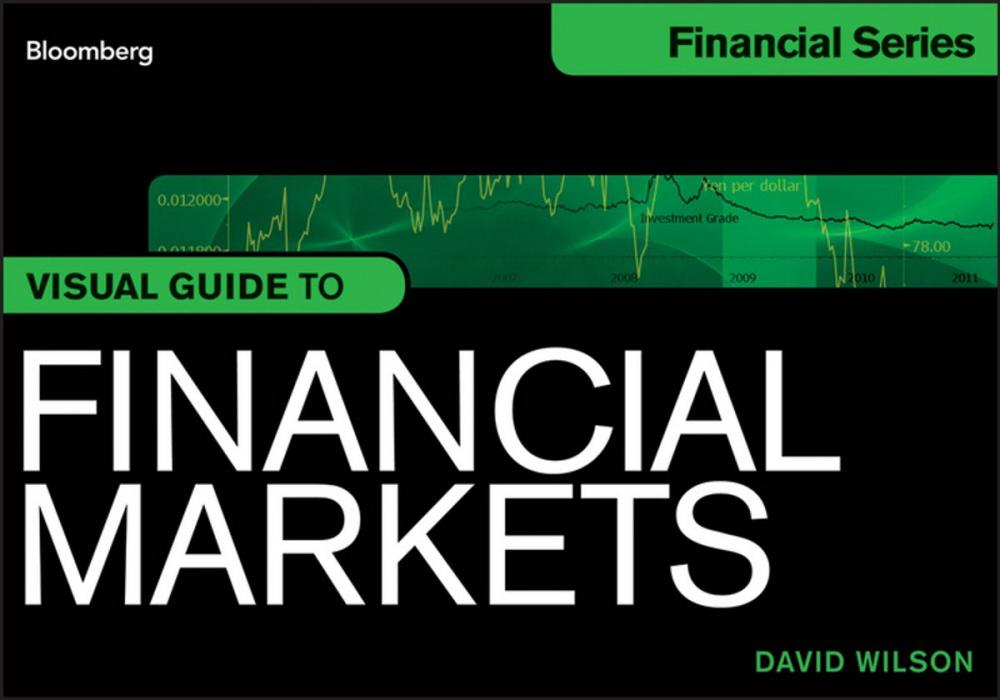 Big bigCover of Visual Guide to Financial Markets