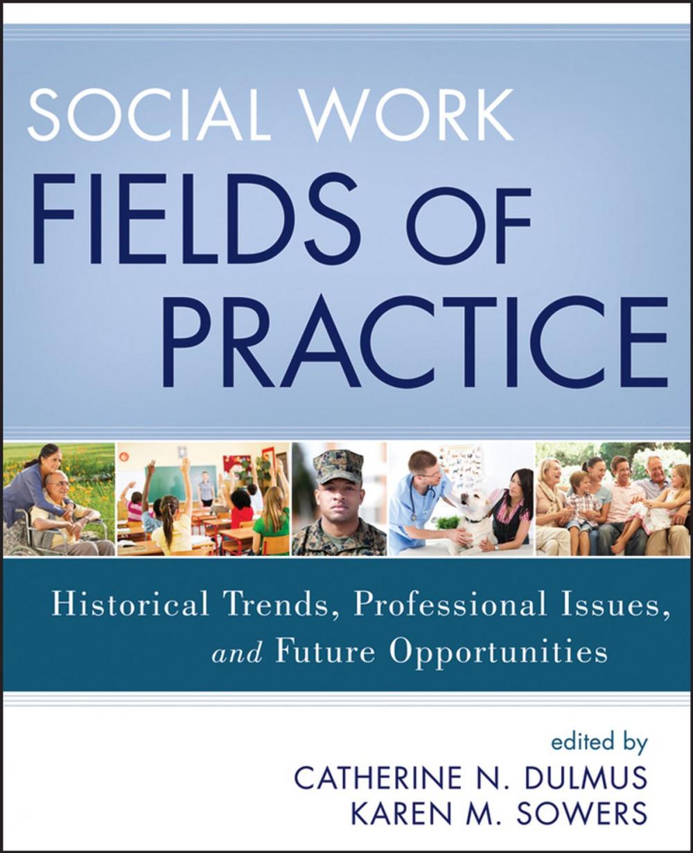 Big bigCover of Social Work Fields of Practice