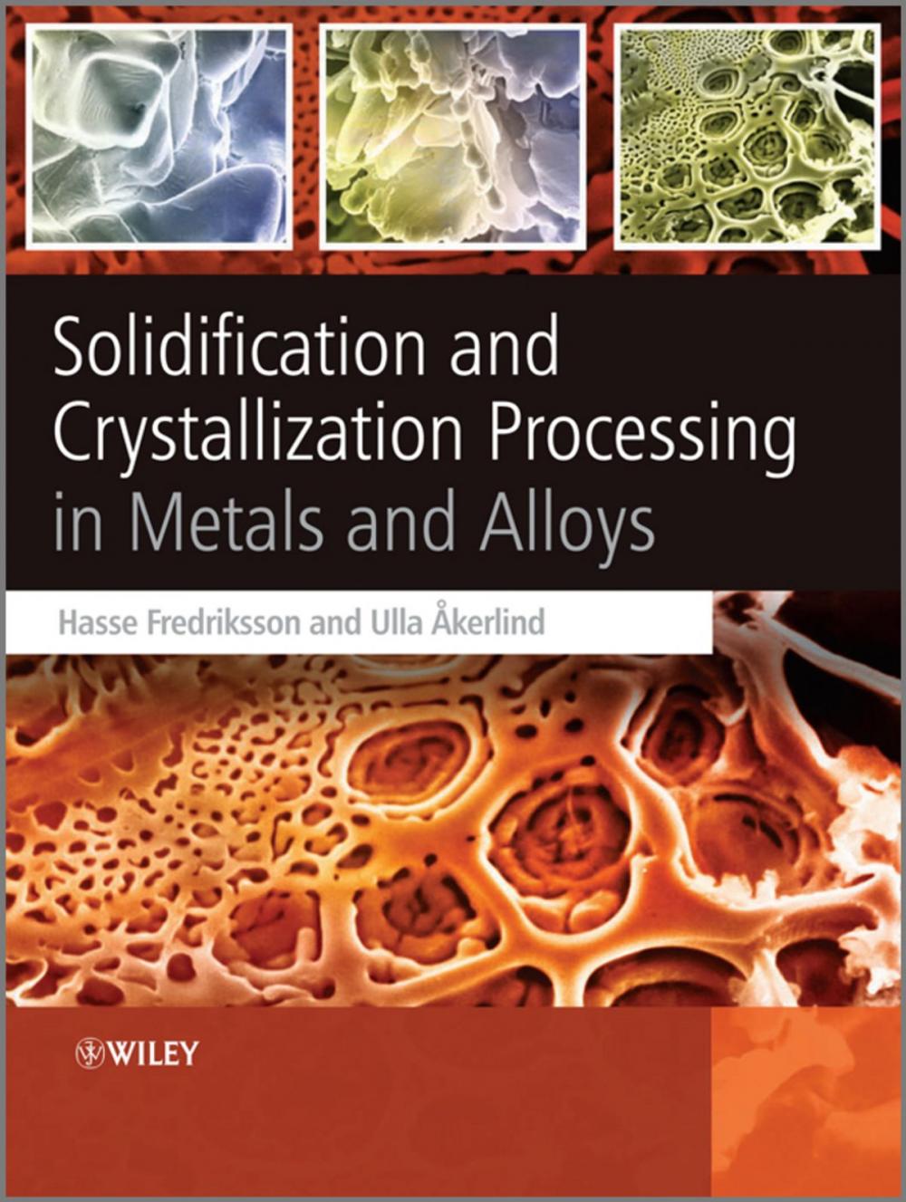 Big bigCover of Solidification and Crystallization Processing in Metals and Alloys