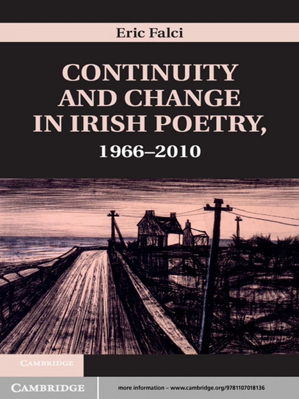 Big bigCover of Continuity and Change in Irish Poetry, 1966–2010
