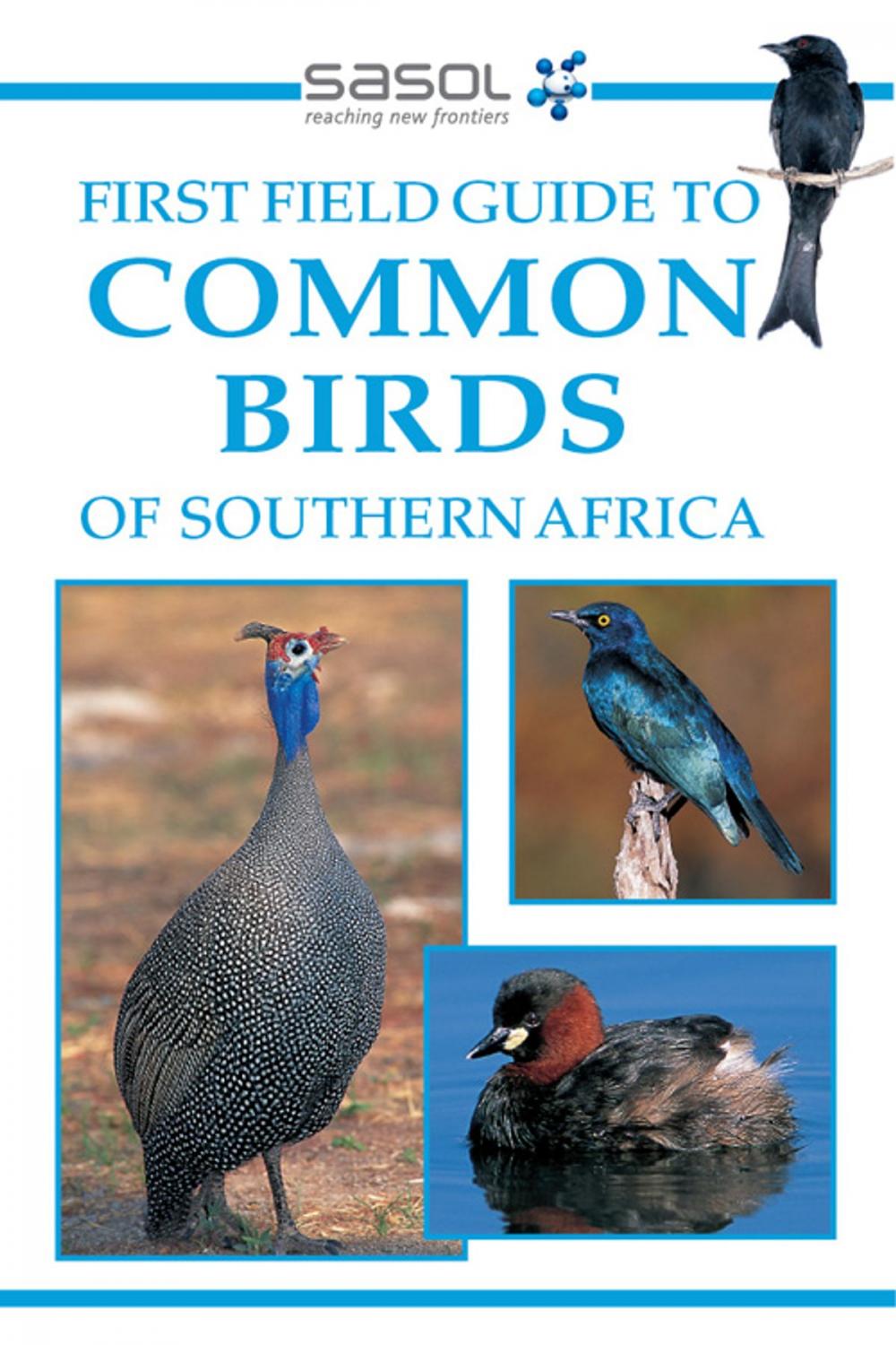 Big bigCover of Sasol First Field Guide to Common Birds of Southern Africa