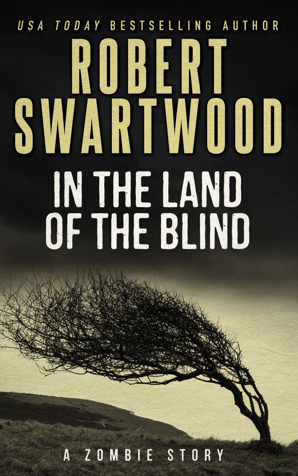 Big bigCover of In the Land of the Blind (A Short Story)