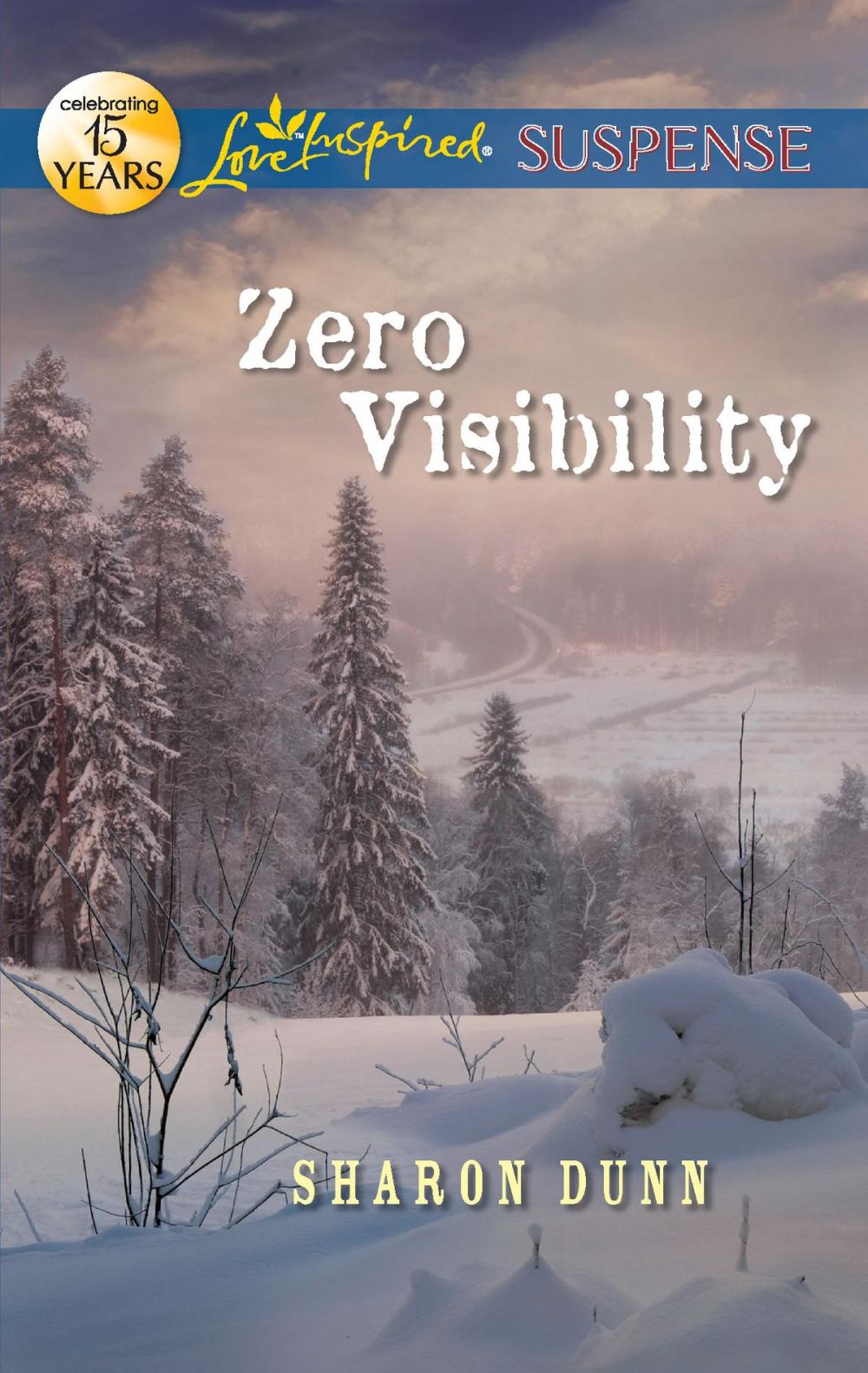 Big bigCover of Zero Visibility