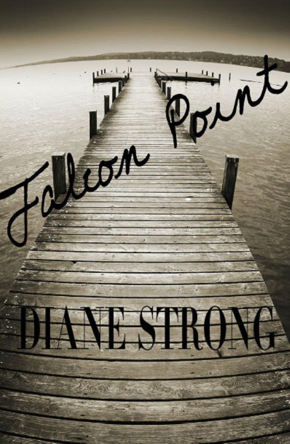 Big bigCover of Falcon Point (The Running Suspense Collection)