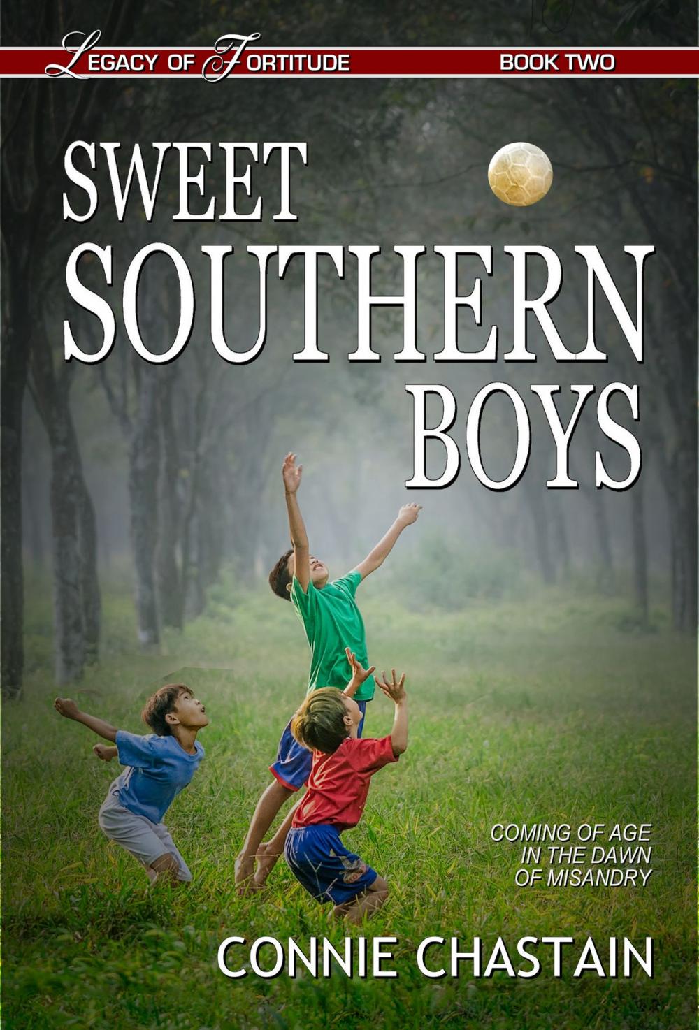 Big bigCover of Sweet Southern Boys