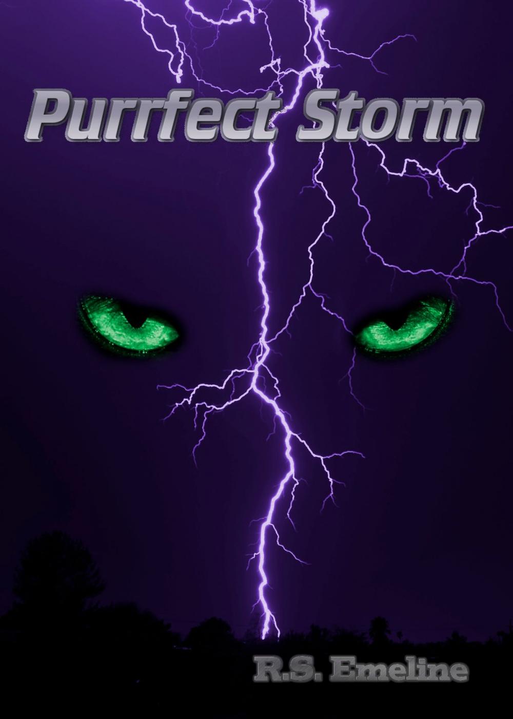 Big bigCover of Purrfect Storm