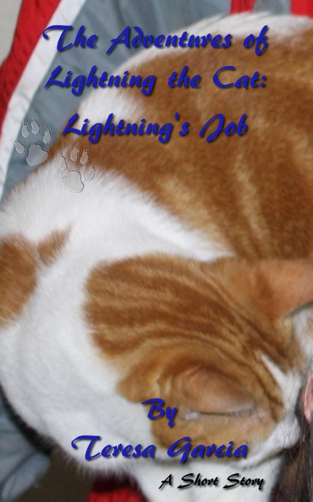 Big bigCover of The Adventures of Lightning the Cat: Lightning's Job