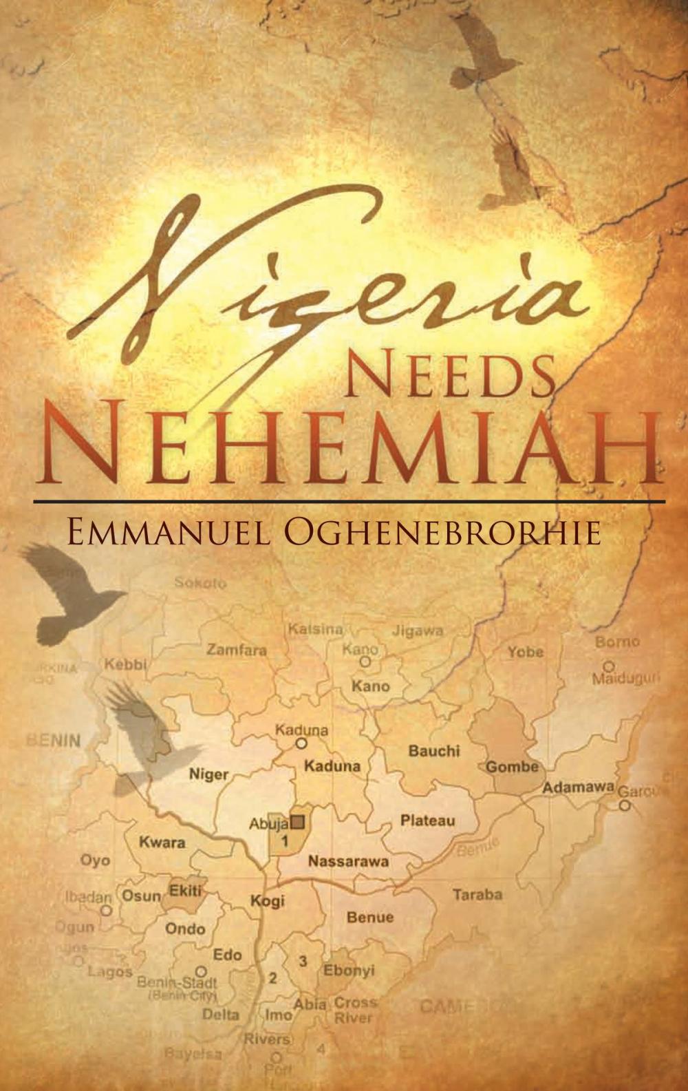 Big bigCover of Nigeria Needs Nehemiah