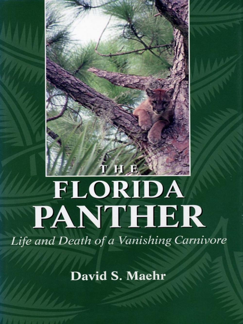 Big bigCover of The Florida Panther