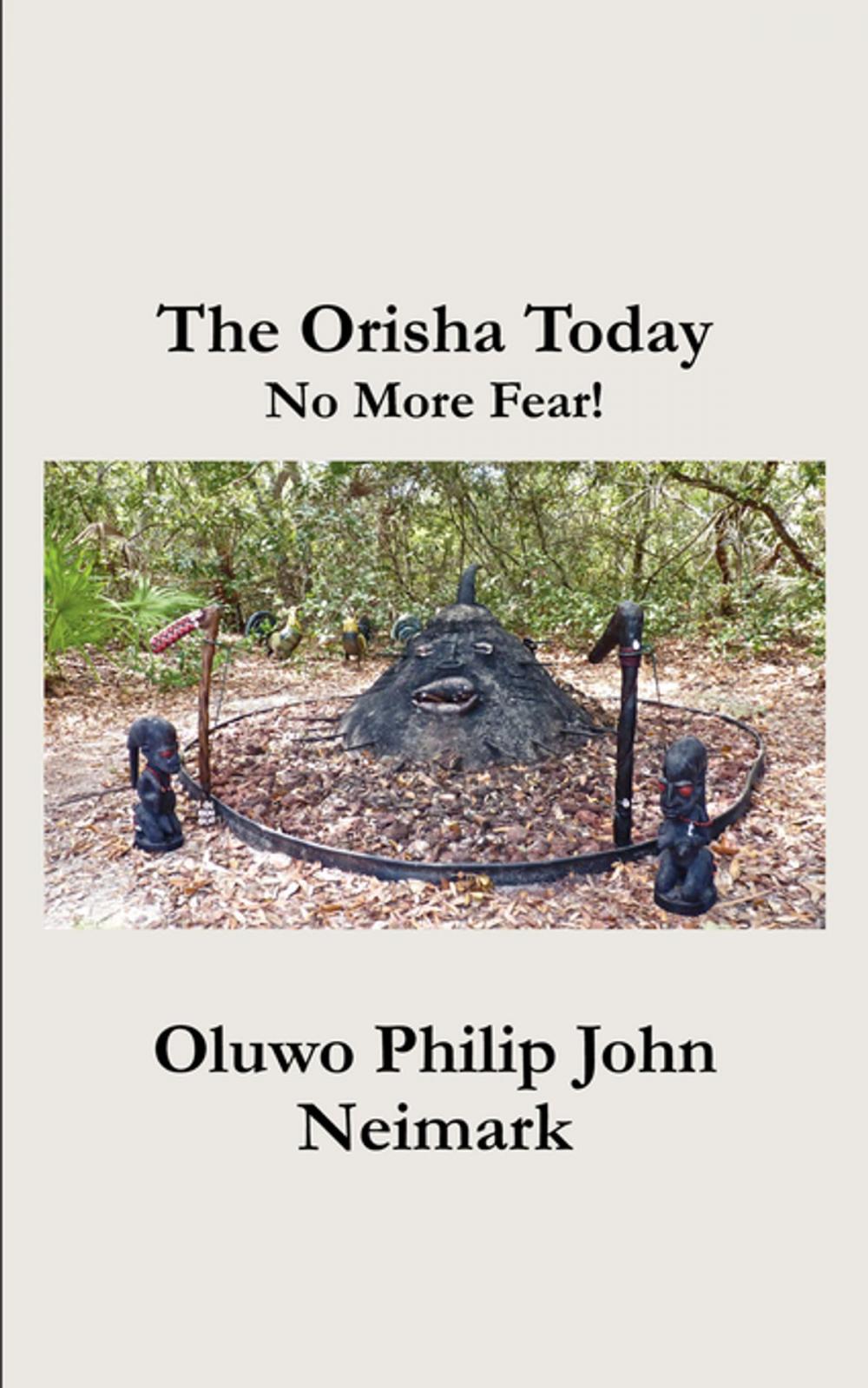 Big bigCover of The Orisha Today