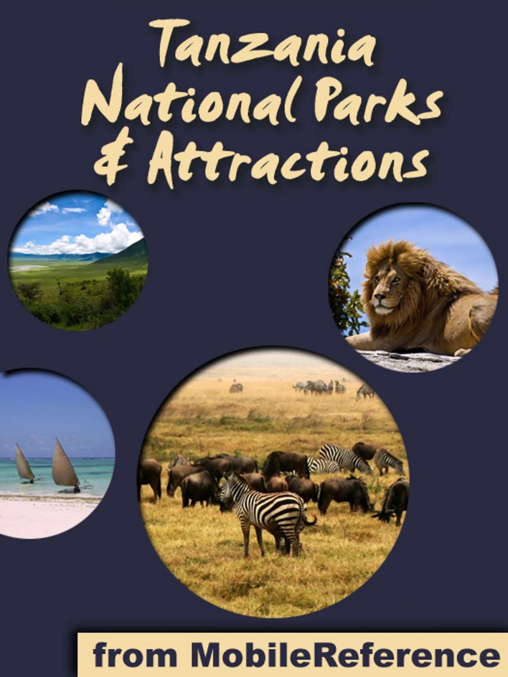 Big bigCover of National Parks & Attractions in Tanzania: a travel guide to the top 15+ national parks & attractions in Tanzania, Africa