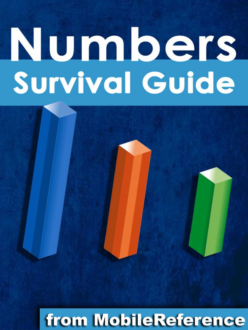 Big bigCover of Numbers Survival Guide: Step-by-Step User Guide for Apple Numbers: Getting Started, Managing Spreadsheets, Formatting Cells, and Working with Functions