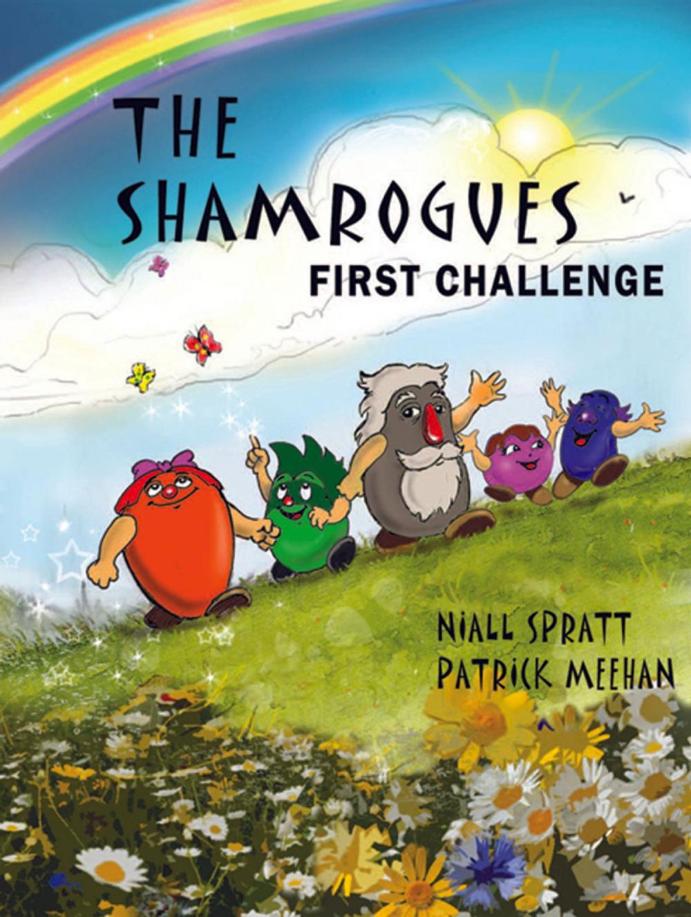 Big bigCover of The Shamrogues