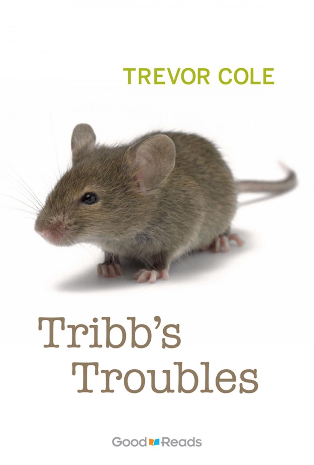Big bigCover of Tribb's Troubles