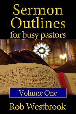 Book cover of Sermon Outlines for Busy Pastors: Volume 1