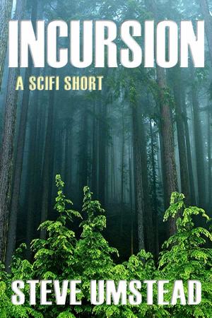 Cover of the book Incursion by Anne Ashley