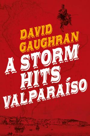 bigCover of the book A Storm Hits Valparaiso by 