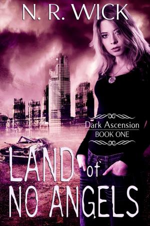 Book cover of Land of No Angels