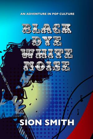 Cover of the book Black Dye White Noise by Brenda Perlin