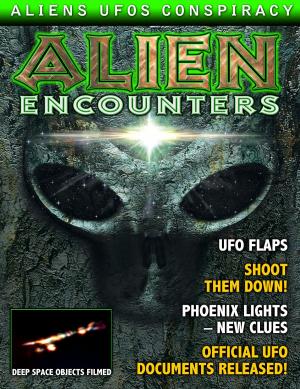 Cover of the book Alien and UFO Encounters by Ann Marie Holmes