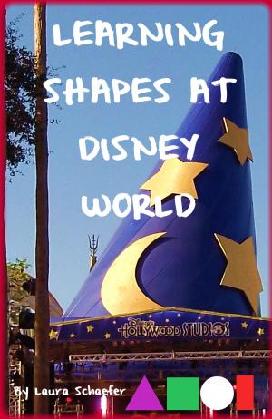 Cover of Learning Shapes at Disney World