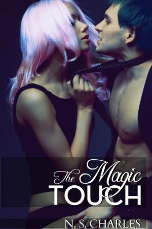 Cover of the book The Magic Touch by NS Charles