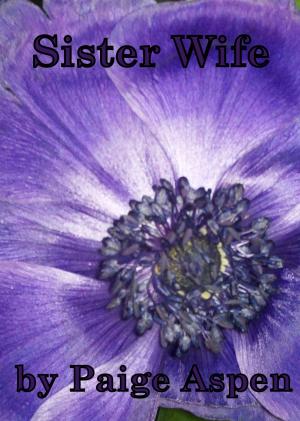 Cover of the book Sister Wife (Erotica novelette) by Noddy Brooks