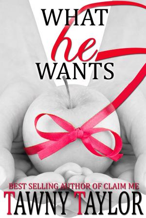 Book cover of What He Wants