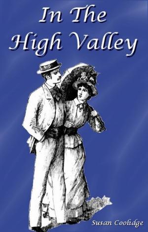 Cover of the book In the High Valley by E. D. E. N. Southworth, Clare Angell (Illustrator)