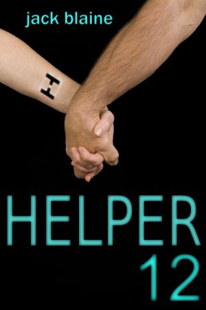 Book cover of Helper12