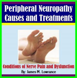 Cover of the book Peripheral Neuropathy Causes and Treatments by James Lowrance