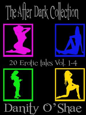 Book cover of The After Dark Collection: VOLUMES 1-4 (20 Erotic Tales)