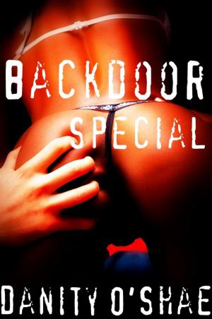 Cover of the book Backdoor Special by Danity O'Shae