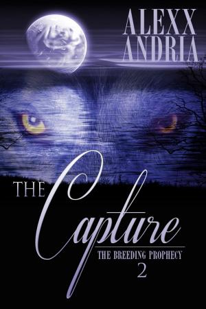 Cover of the book The Capture by A.T. Brennan