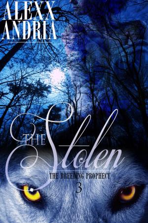 Cover of the book The Stolen (Wolf Shifter Romance) by Jennifer Estep