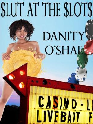 Cover of the book Slut At The Slots by Danity O'Shae