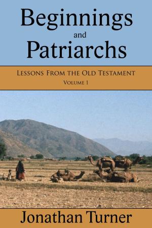 Cover of the book Beginnings and Patriarchs by Louis Berkhof