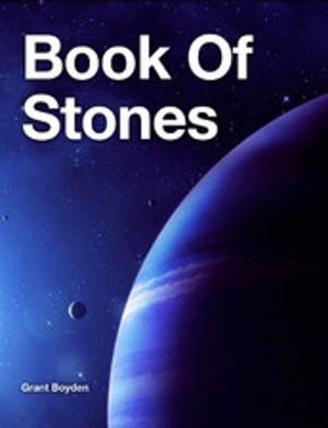 Cover of the book Book Of Stones by Markus Behnisch, Agnieszka Gantz, Annette Bokpe, Annette Müller