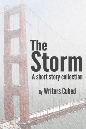 Cover of the book The Storm by Elizabeth Hirst