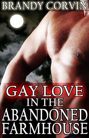 Cover of the book Gay Love in the Abandoned Farmhouse by Brandy Corvin