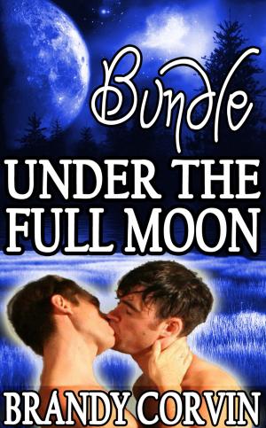 Cover of the book Under the Full Moon Series Bundle by Annabel Bastione