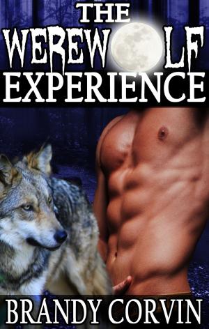 Cover of the book The Werewolf Experience by Brandy Corvin